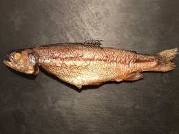 Forelle geräuchert